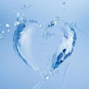 Meet your Posher, Diana y